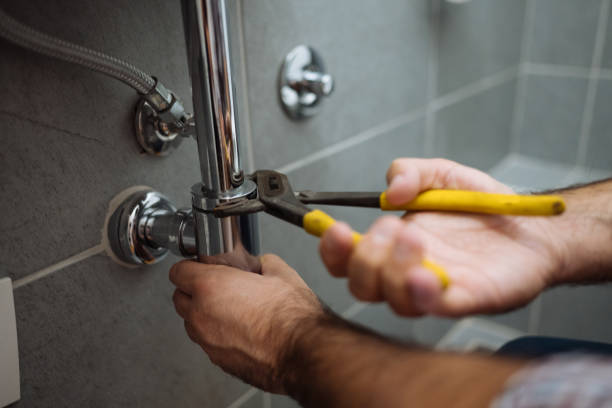 Best Toilet Repair Services  in Philippi, WV